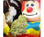 Buddy's Cannabis image 2