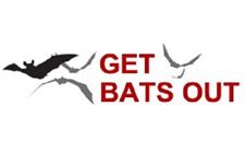 Get Bats Out image 1