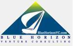 Blue Horizon Venture Consulting image 1