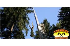 Tomahawk Tree Service image 2