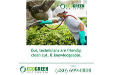 EcoGreen Pest Control image 7