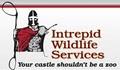 Intrepid Wildlife Services image 1