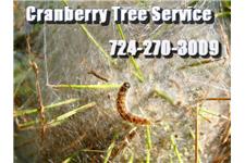 Cranberry Tree Care Service image 3