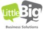 Little Big Business Solutions logo