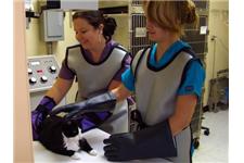 VSA Animal Hospital image 3