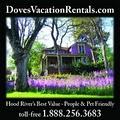 Doves Pet Friendly Vacation Rentals image 1