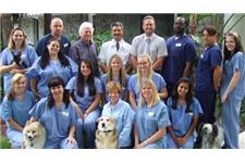 Arbor Pet Hospital image 6