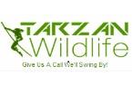 Tarzan Wildlife Control Toronto image 2