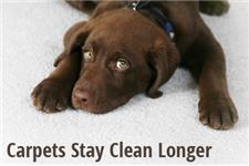 Heaven's Best Carpet and Upholstery Cleaning Buckeye AZ image 3