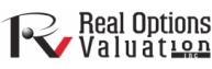 Real Options Valuation, Inc, USA image 1