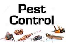 Valley Wide Pest Control image 7