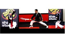 Steve DeMasco's Shaolin Studios image 3