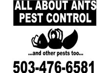 All About Ants Pest Control image 1