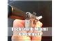 Locksmith Miami Gardens FL logo