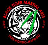 Black Tiger Martial Arts image 1