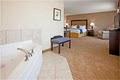 Holiday Inn Express Hotel & Suites Madison-Verona image 7