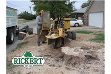 Rickert Landscaping & Tree Service image 3