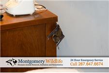 Montgomery Wildlife Removal              image 4
