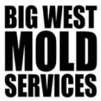 Big West Mold Services image 1
