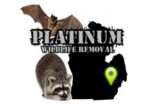 Platinum Wildlife Removal image 1