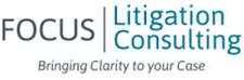 Focus Litigation Consulting image 1