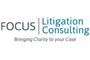 Focus Litigation Consulting logo