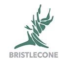 Bristlecone Construction image 1