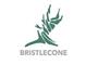 Bristlecone Construction logo