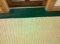 DMS Carpet & Upholstery Cleaners image 6