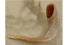 Israelshofar image 5