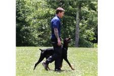 RCM Dog Training image 8