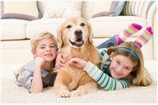 Carpet Cleaning Montgomery image 1