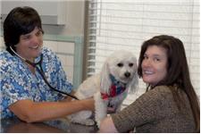 Blue Cross Veterinary Hospital image 2