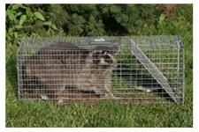 Critter Control of Broward County image 2