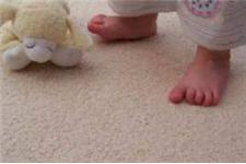 Fox Valley Carpet Cleaning image 1