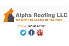 The Alpha Roofing Company image 1