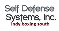 Self Defense Systems Indy Boxing South image 1