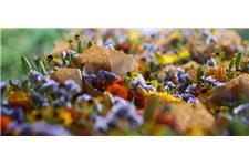 French Market Flowers image 9