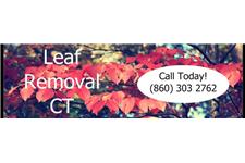 Indianapolis Leaf removal Service image 1