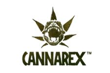 Cannarex image 3