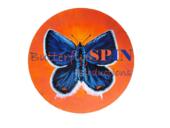 Butterfly Spin Productions  image 1