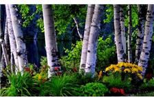 Woodlands Best Tree Care Service image 3