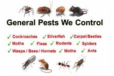 Valley Wide Pest Control image 2