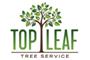 Top Leaf Tree Service logo