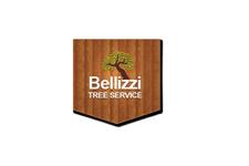 Bellizzi Tree Service of San Jose image 1