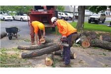 Cutting Edge Tree Professionals image 4