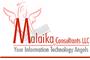 Malaika Consultants LLC             logo