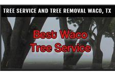 Best Waco Tree Service image 3