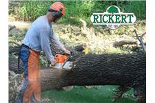 Rickert Landscaping & Tree Service image 9