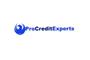 Pro Credit Experts logo